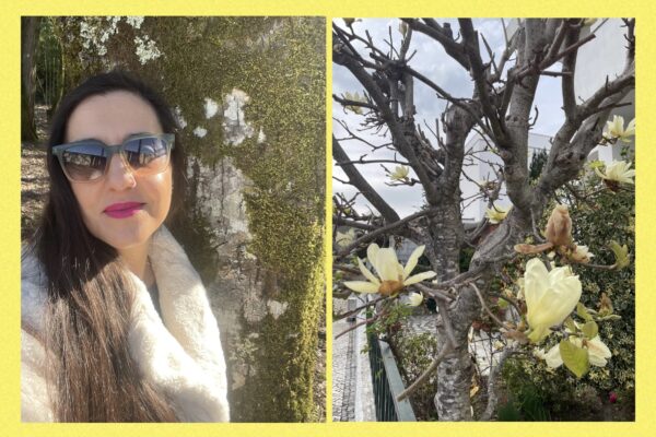 Primavera